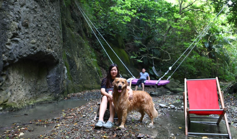 寵物友善民宿 寵物友善民宿