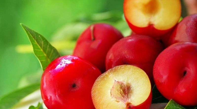 李子升糖指數 李子升糖指數