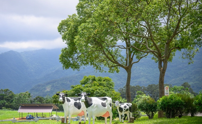 台東三天兩夜行程