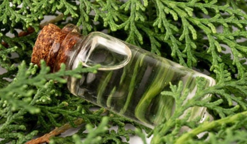 絲柏精油功效 絲柏精油功效