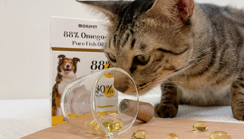 貓吃魚油