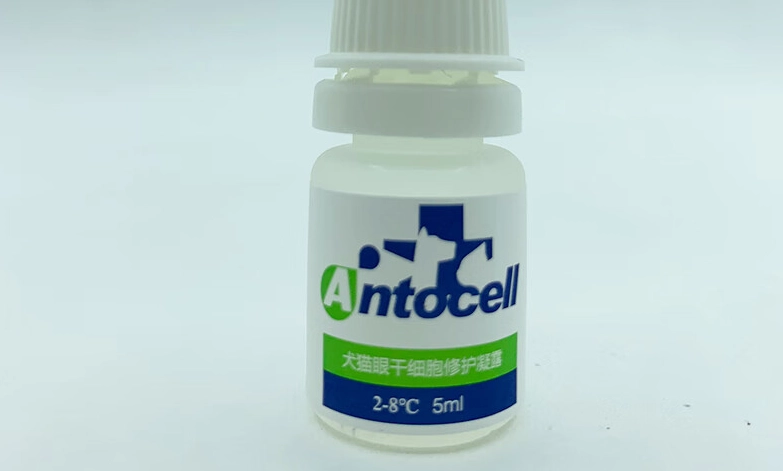 貓角膜潰瘍治療 貓角膜潰瘍治療