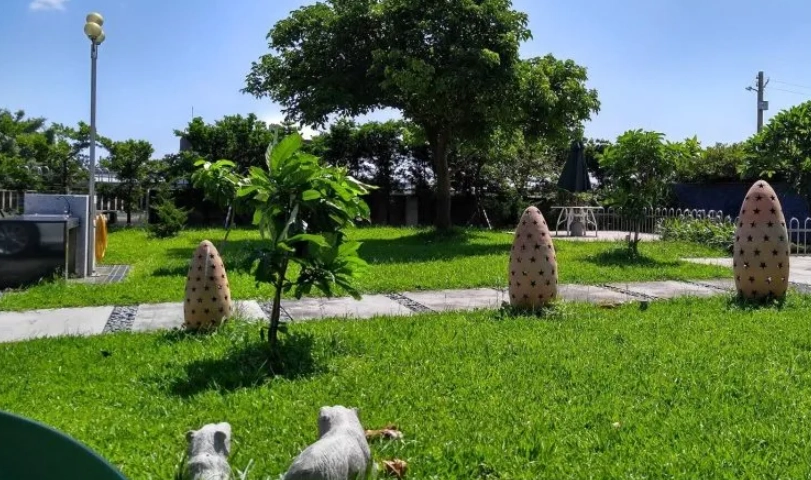 新北市寵物友善景點