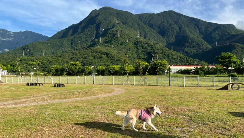 帶狗旅遊花蓮 帶狗旅遊花蓮