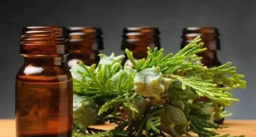 精油替代方案 精油替代方案