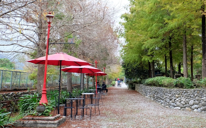 帶狗旅遊花蓮 帶狗旅遊花蓮