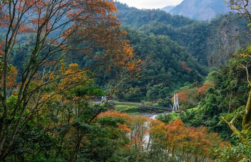 太平山國家森林遊樂區怎麼玩？完整攻略與必遊景點推薦
