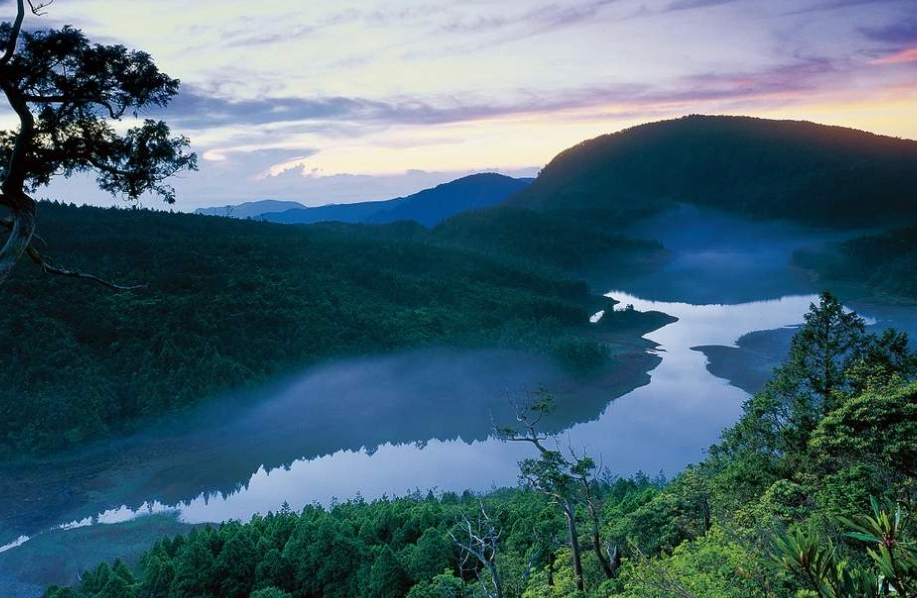 林務局國家森林遊樂區全攻略：必訪景點、門票資訊與深度體驗
