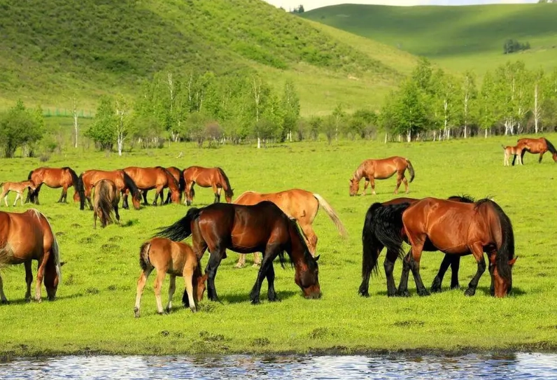 內蒙古旅遊季節全攻略：最佳時間、景點推薦與實用貼士