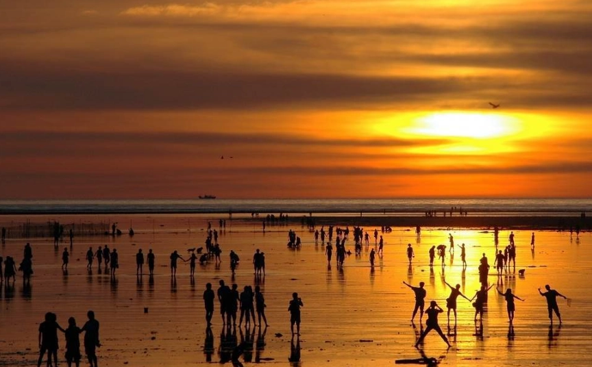 台北無車族一日遊攻略：捷運公車玩遍台北精華景點