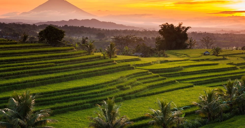 峇里島秘境旅遊