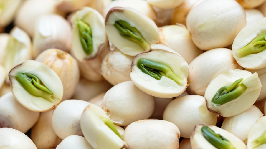 蓮子不能和什麼一起吃