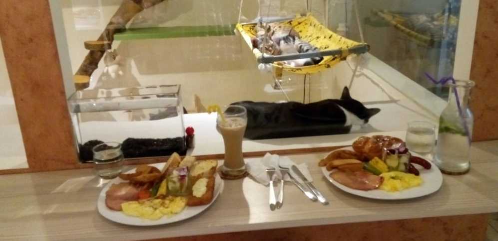 寵物友善餐廳 花蓮