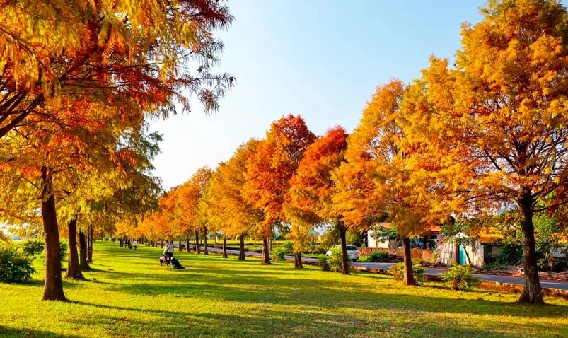 三星鄉景點推薦