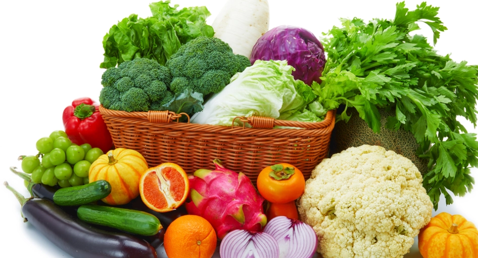 狗吃鮮食營養不均衡