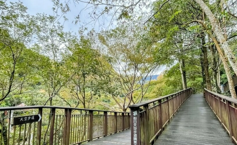 斗南一日遊行程