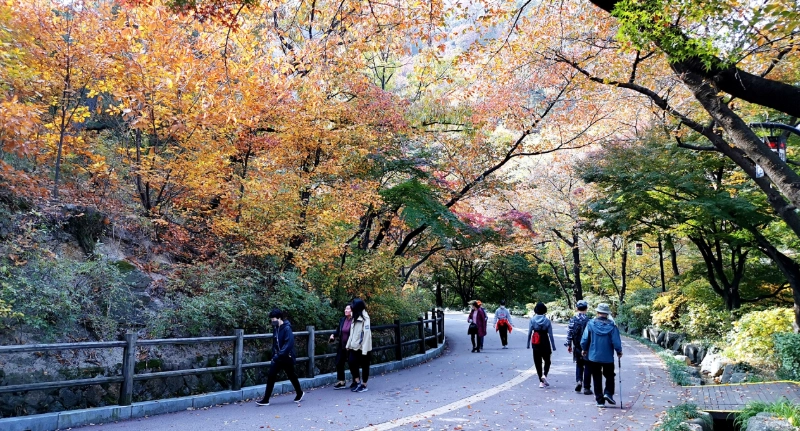 首爾五天四夜 首爾五天四夜