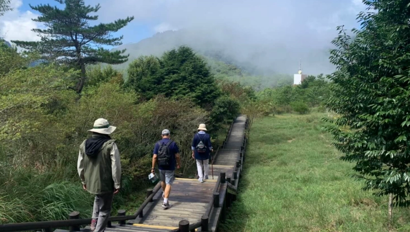 台灣好行觀霧線 台灣好行觀霧線