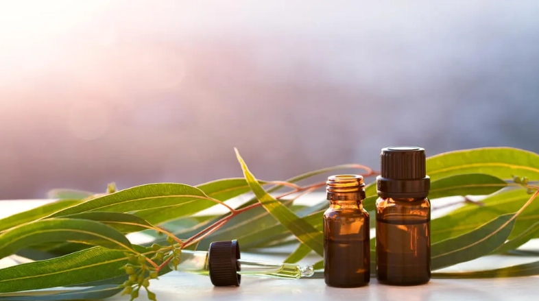 尤加利精油副作用