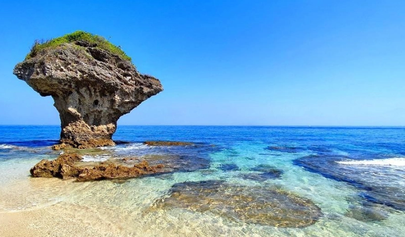 小琉球 浮潛 季節