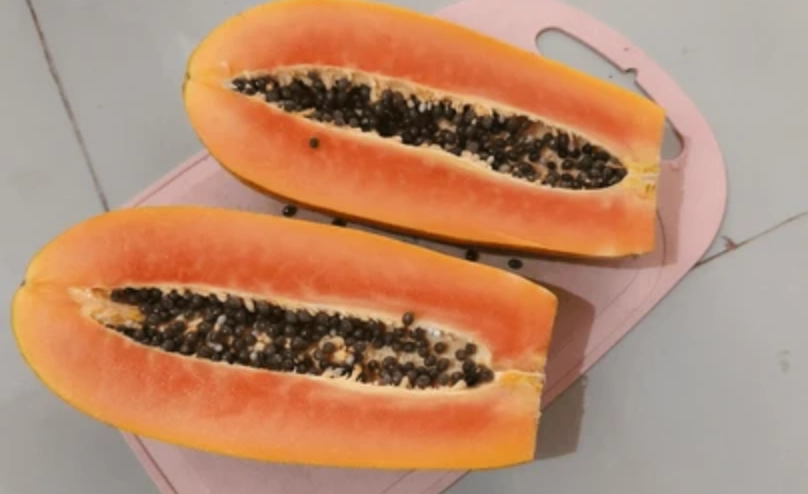 木瓜蛋白質副作用