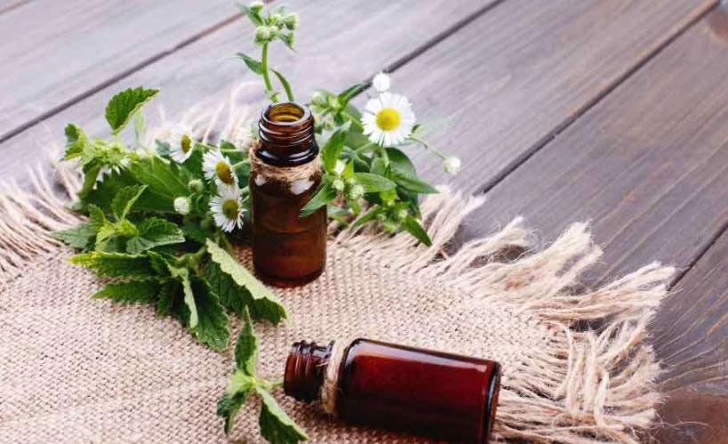 尤加利精油注意事项