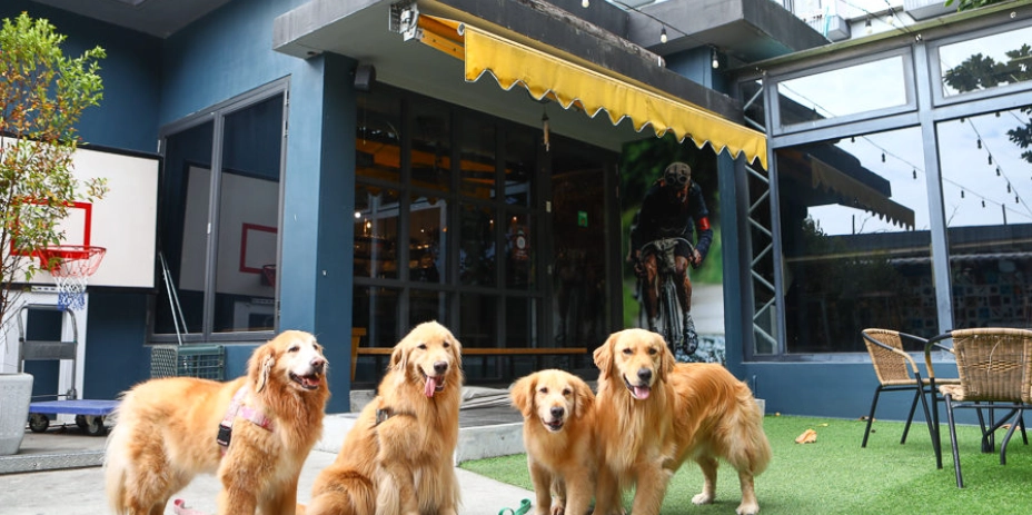帶狗餐廳 花蓮