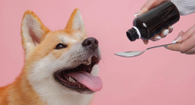 狗 魚油 劑量 狗 魚油 劑量