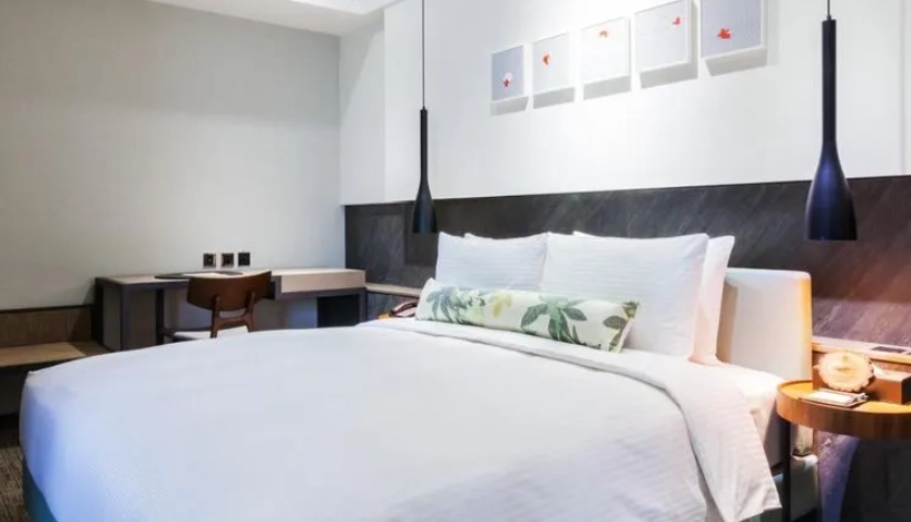 帶寵物住宿嘉義 帶寵物住宿嘉義