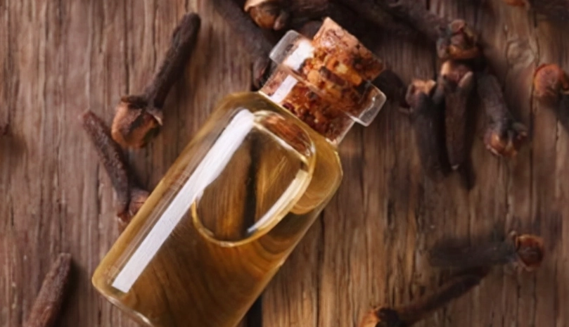 天然驅疥蟲方法 天然驅疥蟲方法