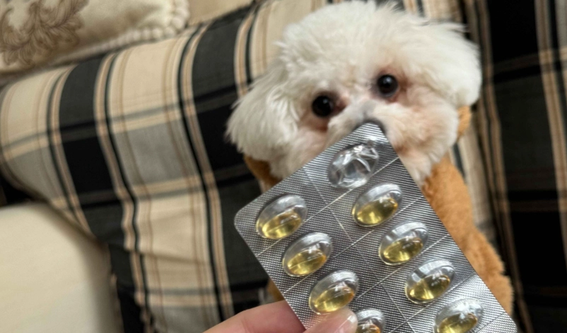 狗 魚油 劑量 狗 魚油 劑量