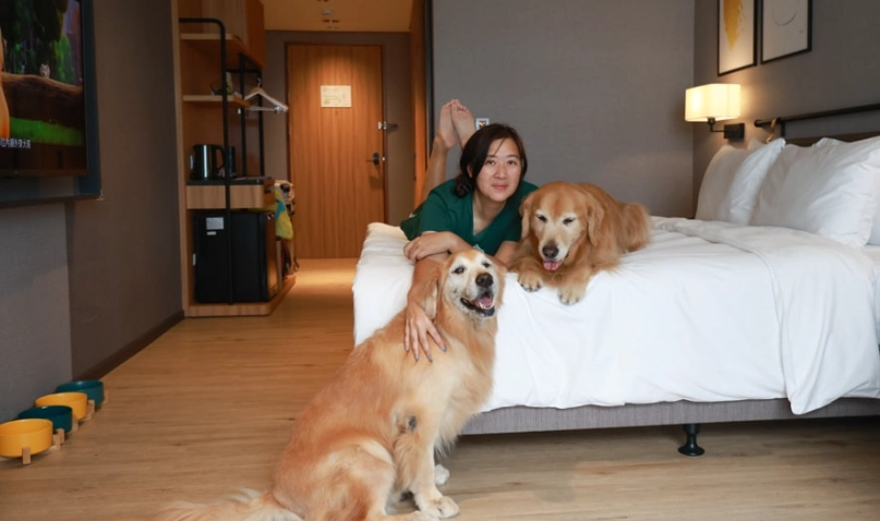 嘉義寵物友善住宿 嘉義寵物友善住宿