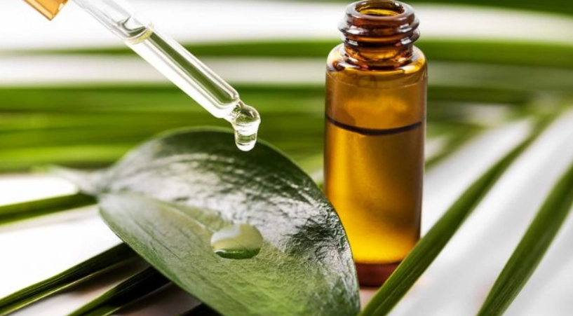 天然驅疥蟲方法 天然驅疥蟲方法