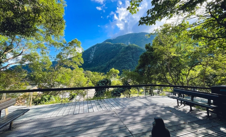 帶寵物旅行花蓮