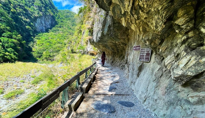 帶寵物旅行花蓮