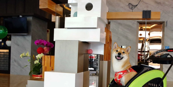 嘉義市區寵物旅館 嘉義市區寵物旅館