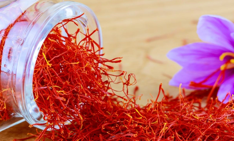 藏紅花副作用
