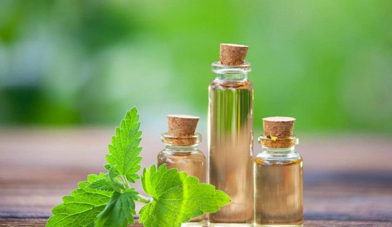 疥蟲防治技巧 疥蟲防治技巧