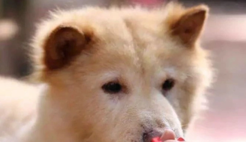 結膜炎會自己好嗎