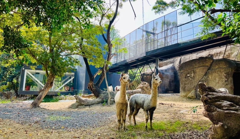 高雄四天三夜自由行