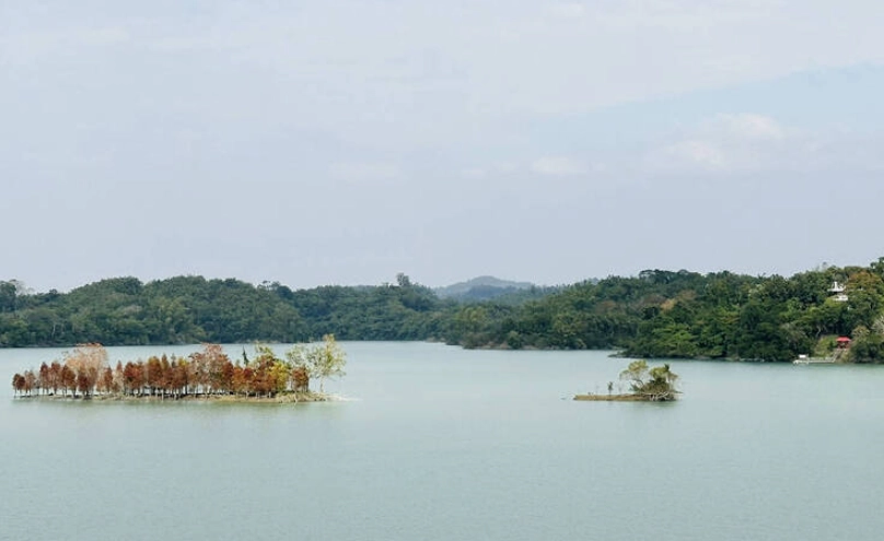 六甲落羽松附近旅遊