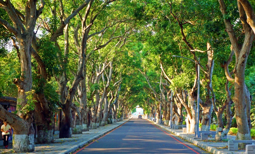 雲林景點 雲林景點