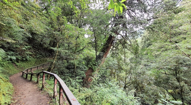 拉拉山步道路線