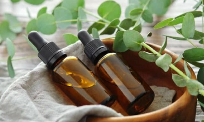 尤加利精油使用方法