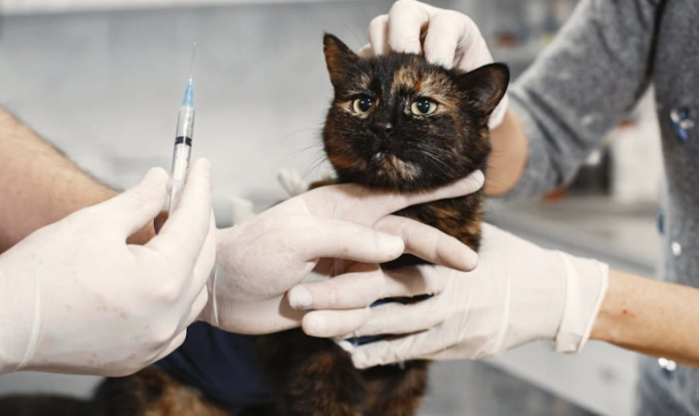 寵物晶片副作用