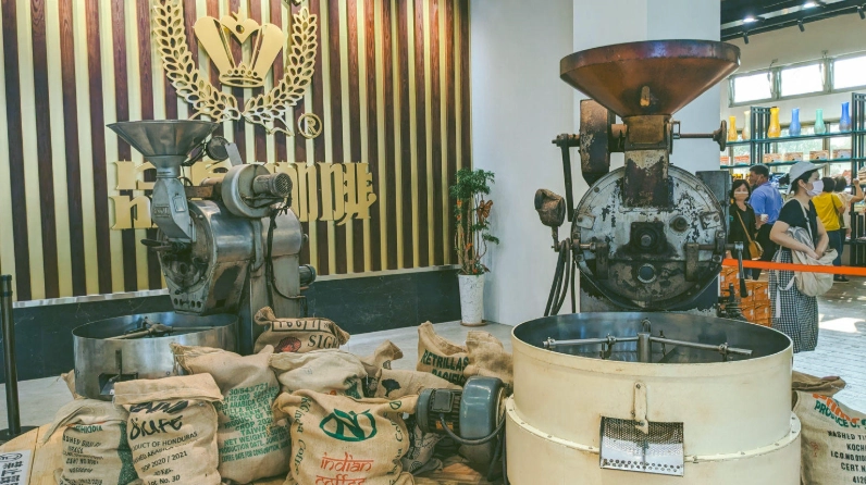 嘉義觀光工廠新開幕！三大特色工廠深度玩法與預約攻略